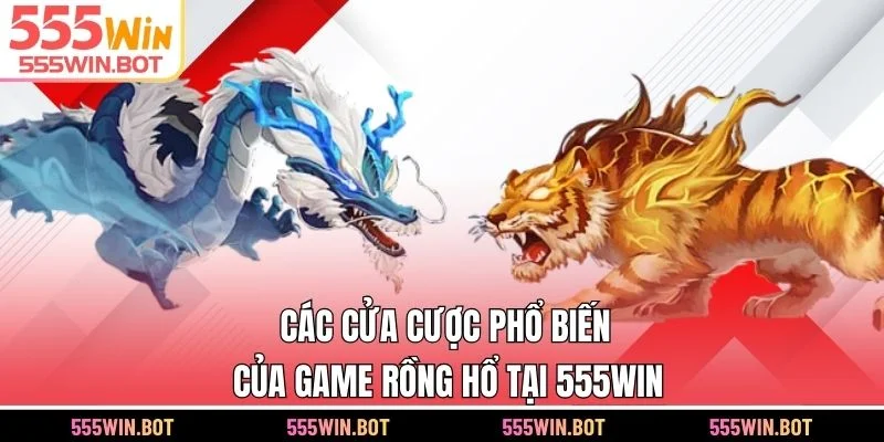 Các cửa cược phổ biến của game Rồng Hổ tại 555WIN