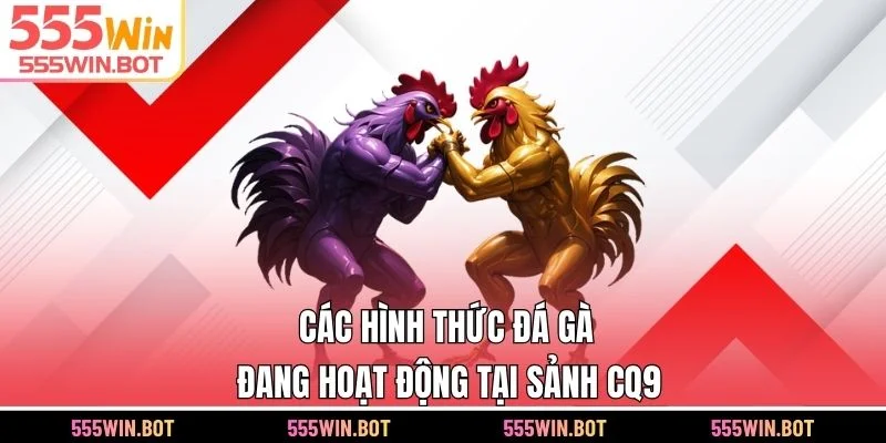 Các hình thức đá gà đang hoạt động tại sảnh CQ9