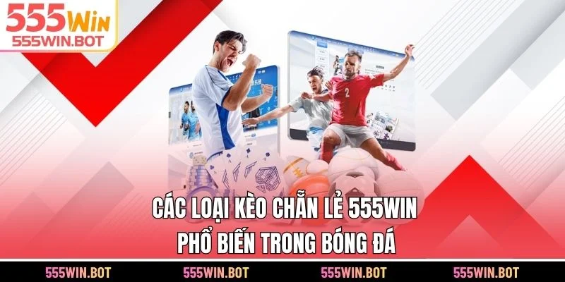 Các loại kèo chẵn lẻ 555WIN phổ biến trong bóng đá