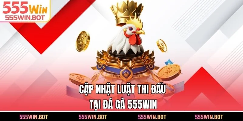 Cập nhật luật thi đấu tại đá gà 555WIN