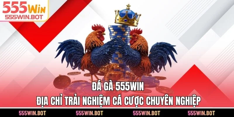 Đá Gà 555WIN - Địa Chỉ Trải Nghiệm Cá Cược Chuyên Nghiệp