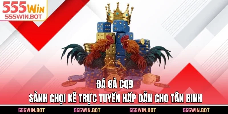 Đá Gà CQ9 – Sảnh Chọi Kê Trực Tuyến Hấp Dẫn Cho Tân Binh