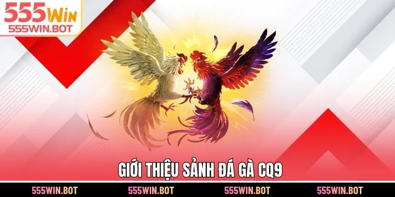 Giới thiệu sảnh đá gà CQ9