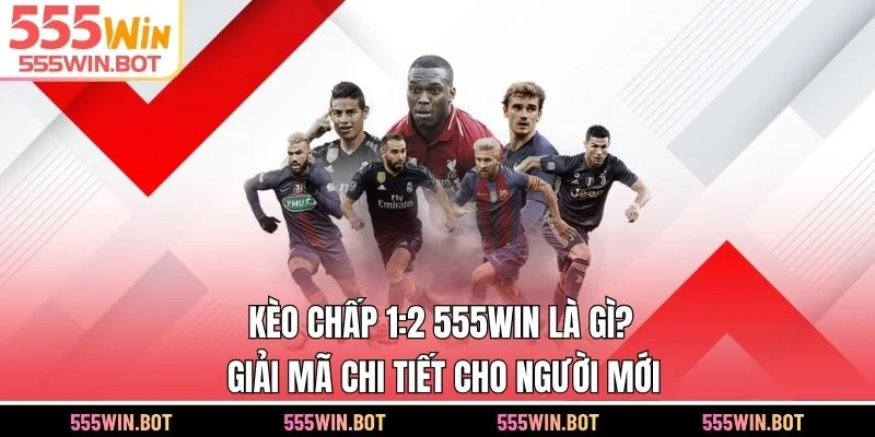 Kèo Chấp 1:2 555WIN Là Gì? Giải Mã Chi Tiết Cho Người Mới