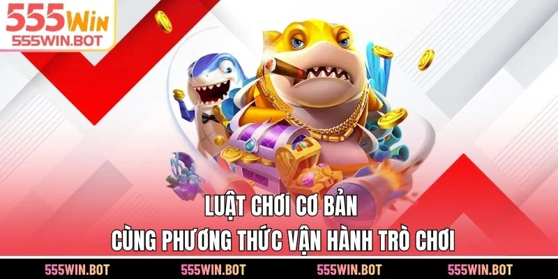 Luật chơi cơ bản cùng phương thức vận hành trò chơi