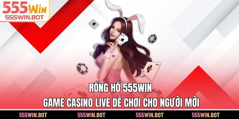 Rồng Hổ 555WIN – Game Casino Live Dễ Chơi Cho Người Mới