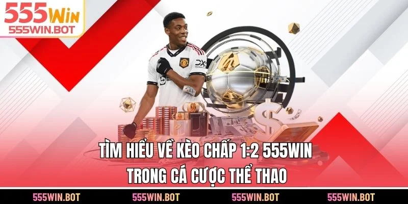 Tìm hiểu về kèo chấp 1:2 555WIN trong cá cược thể thao