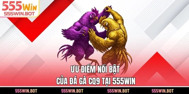 Ưu điểm nổi bật của đá gà CQ9 tại 555WIN